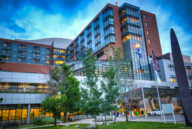 American Hospital 